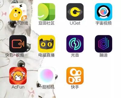 “快手家族”成與敗 一年10款APP，孵化易，運營難